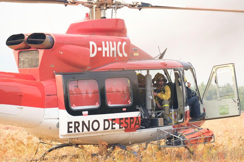 Declarado un incendio en una zona de barranco de Beneixama