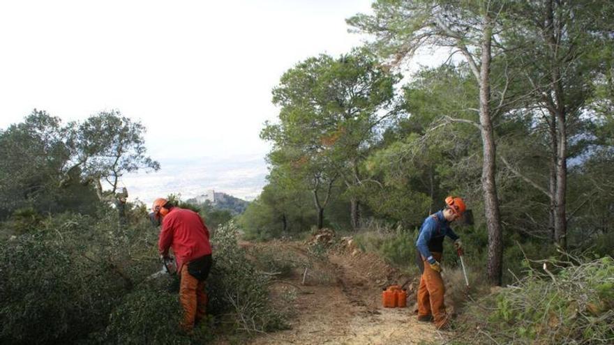 Los incendios forestales y la labor de Vercher en la Fiscalía de Medio Ambiente, dos acelerantes de los planes locales contra el fuego