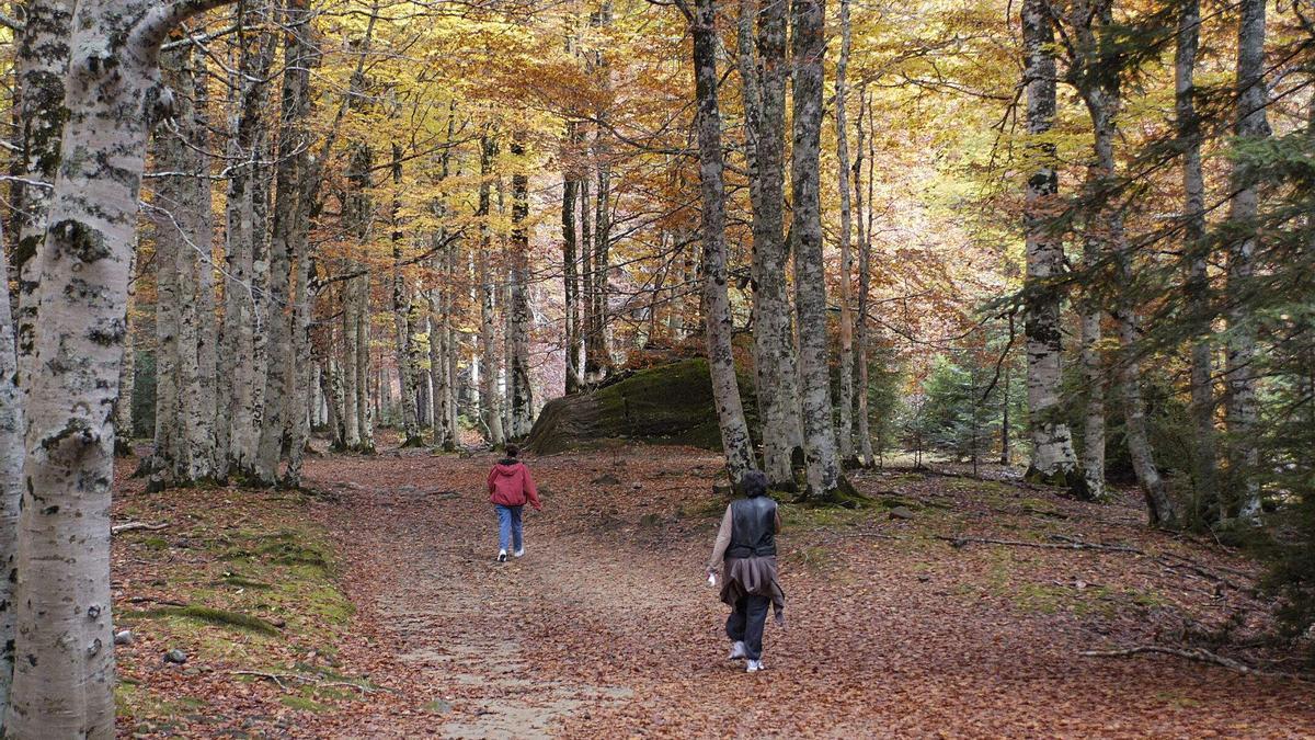 Estampa otoñal en un parque de Andalucía.