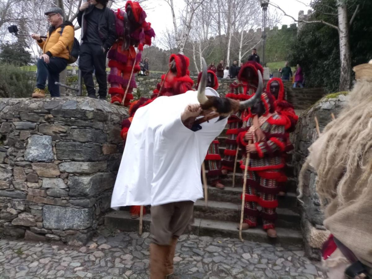 El Toro de Carnaval de Morales de Valverde, en Braganza.