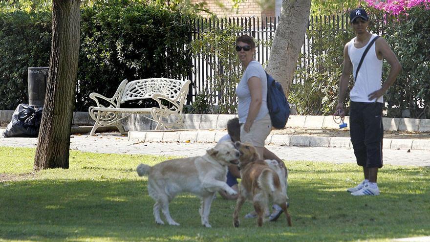 Viandantes junto a sus perros en el Parque del Oeste.