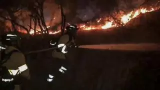 Evolución favorable del incendio de Jaén, que ha quemado más de 700 hectáreas