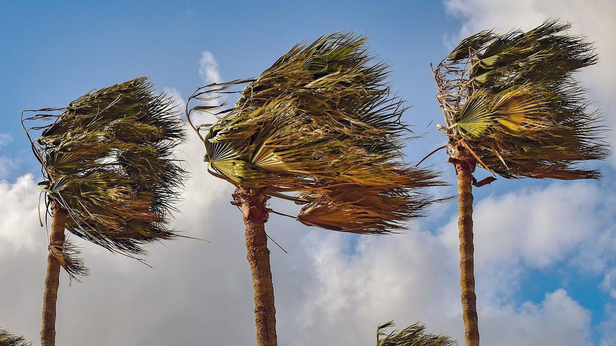 El viento será protagonista en Murcia durante tres días