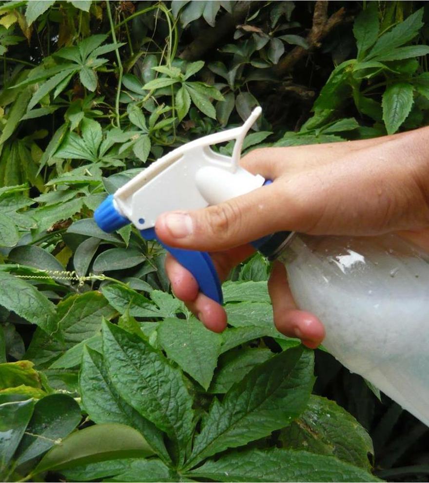 9 usos del agua oxigenada en el huerto o jardín