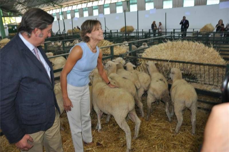 Feria Internacional de Zafra