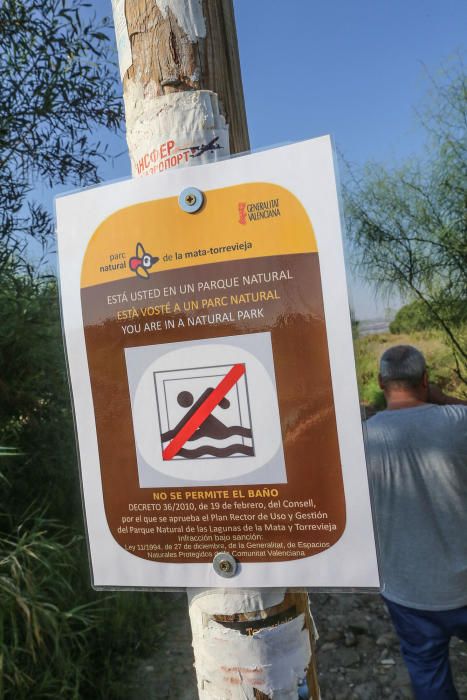 Guardia Civil y Policía cierran el paso a los bañistas en la laguna de Torrevieja. El personal del parque natural y agentes ambientales de la Generalitat informan sobre la prohibición de baño