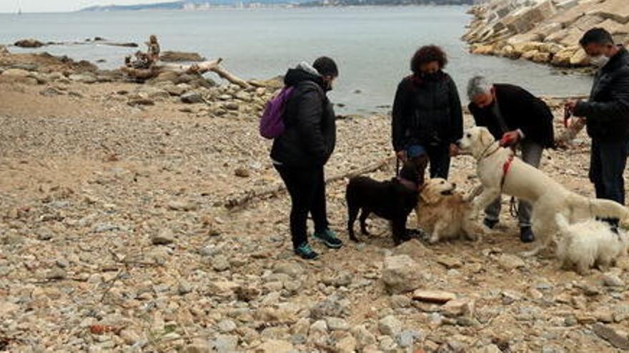 Crítiques a Palamós per crear una platja per a gossos en un lloc &quot;ple de pedres&quot;