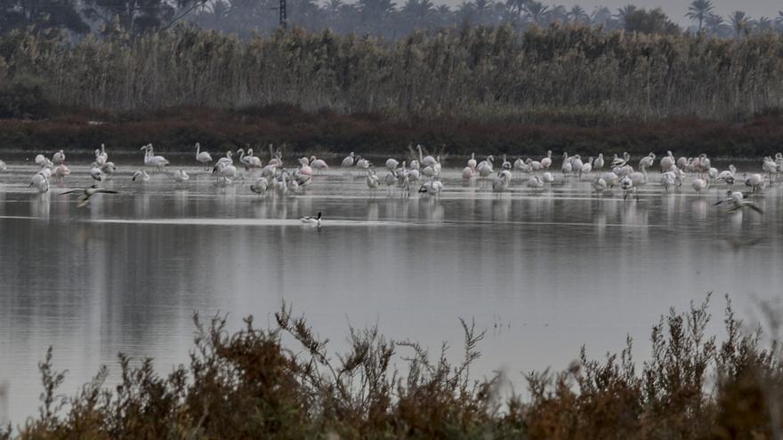 Europa financiará un embarcadero en El Hondo, una bici-rural en Las Bayas y una finca turística en Altzavares