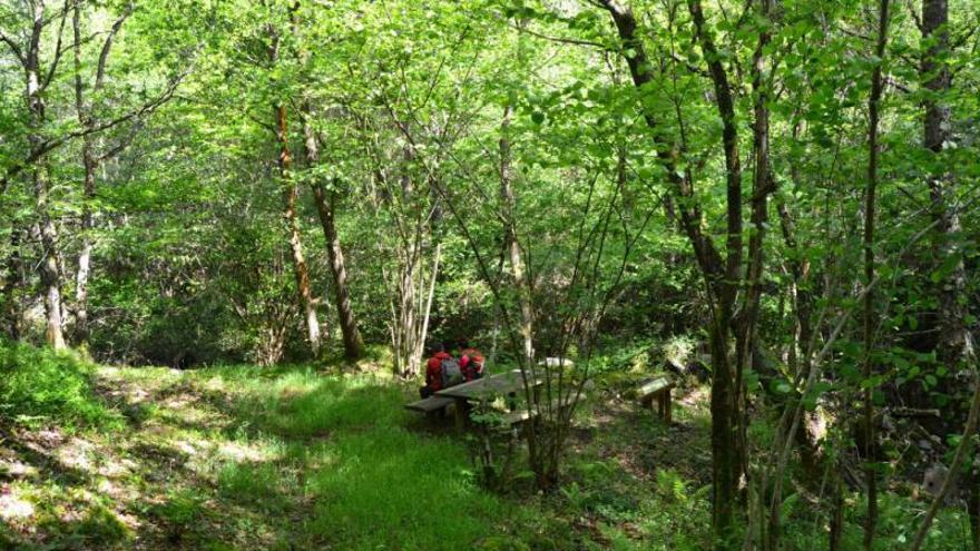 Actividades turísticas en Tineo