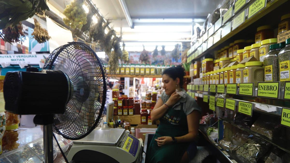 El Mercado Central mejorará la eficiencia del actual aire acondicionado