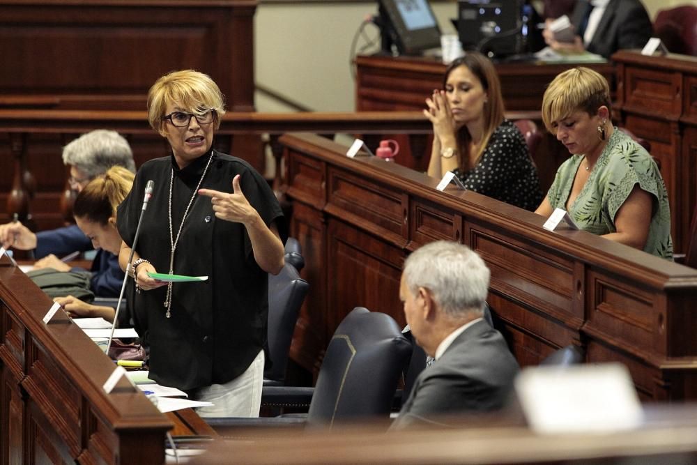 Pleno en el Parlamento de Canarias