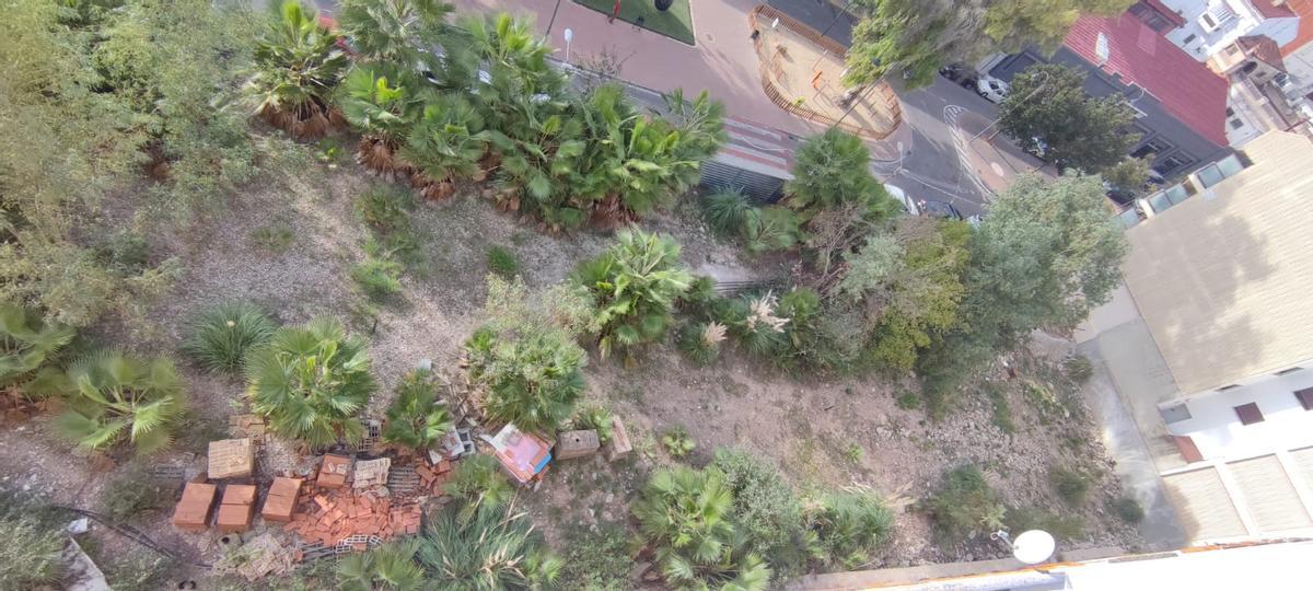 El solar sin maleza pero lleno de árboles y palmeras desde uno de los pisos de una finca contigua.