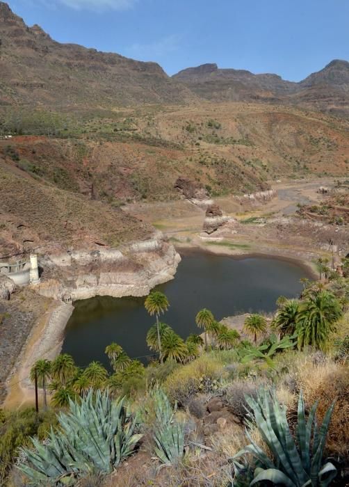 PALMERALES PRESA SORRUEDA SANTA LUCIA