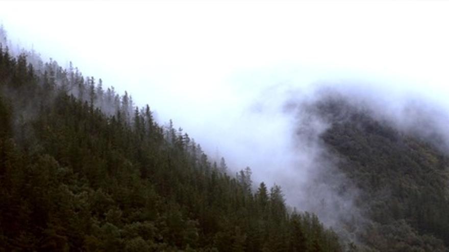 El latido de Urdaibai