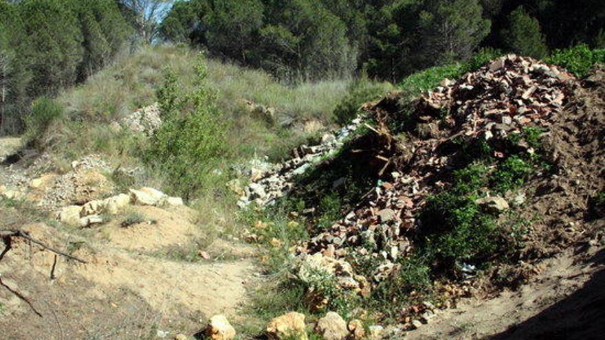 Troncs de palmeres llençats al terreny