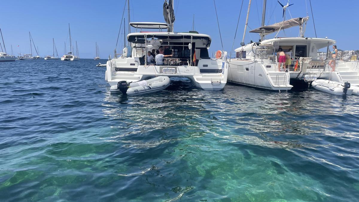 Catamaranes de chárter fondeados sobre posidonia frente a es Pinet, imagen de archivo