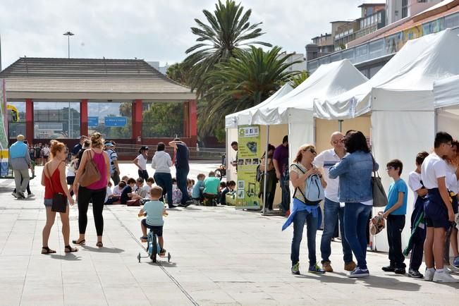 MINIFERIA SEMANA DE LA CIENCIA