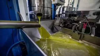 El aceite de oliva es ya un 23% más barato en origen y el consumidor ha empezado a notarlo