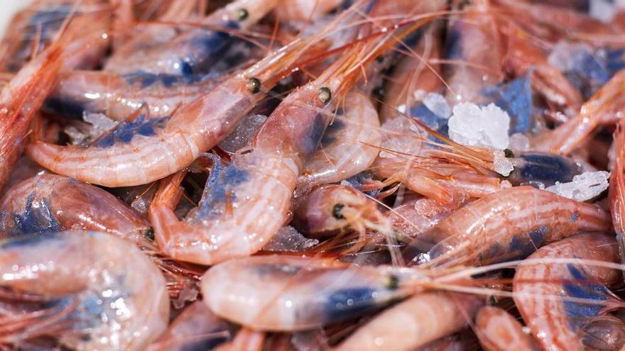 China detecta coronavirus en gambas congeladas