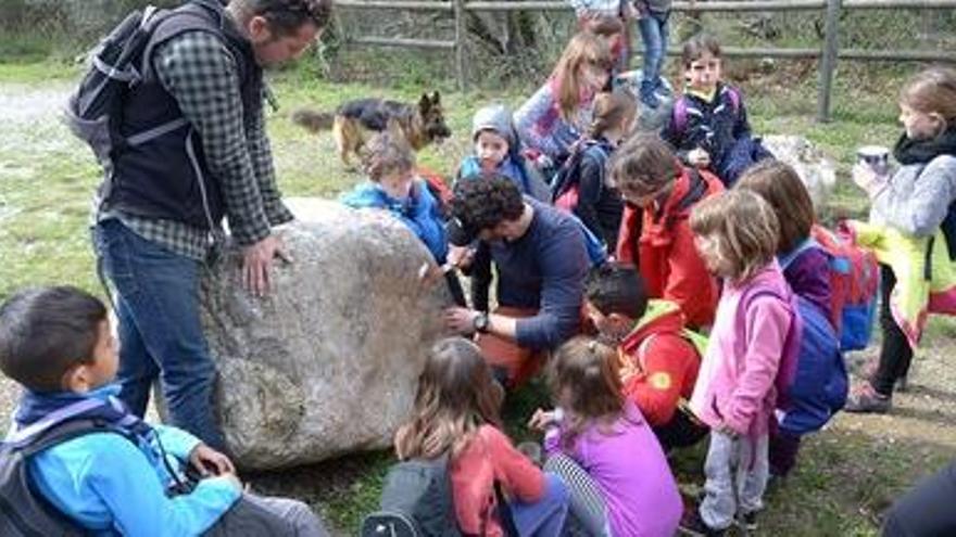 Un dels moments de l&#039;activitat