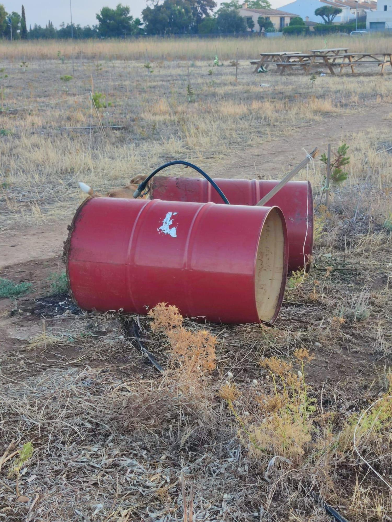 Indignación vecinal en el Pla de na Tesa por actos vandálicos en las fiestas