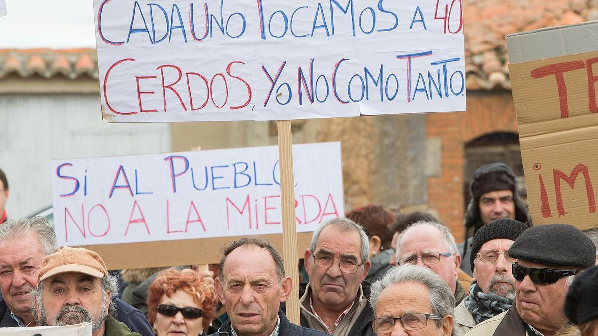 Manifestación en la provincia de Zamora contra las macrogranjas.