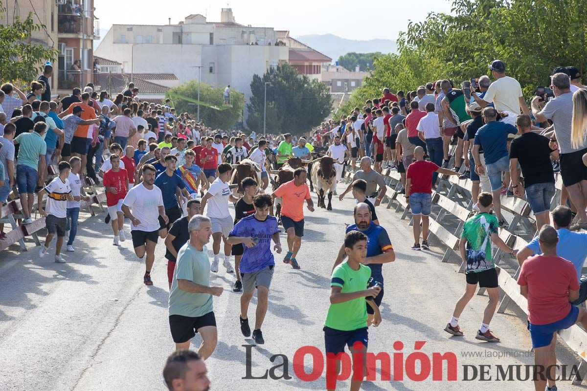 Sexto y último encierro de la Feria Taurina del Arroz en Calasparra