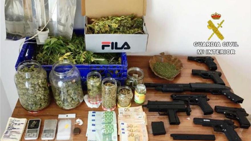 Les pillan robando y al registrar su domicilio hallan 102 plantas de cannabis y droga para vender