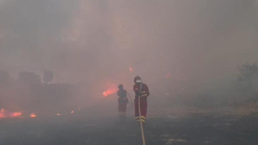 Vídeo | Así trabaja la UME en la extinción del incendio de Tamarite