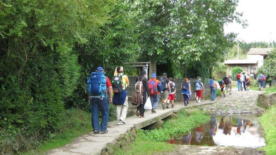 Usuarios de Feafes Galicia realizan una parte del Camino de Santiago.