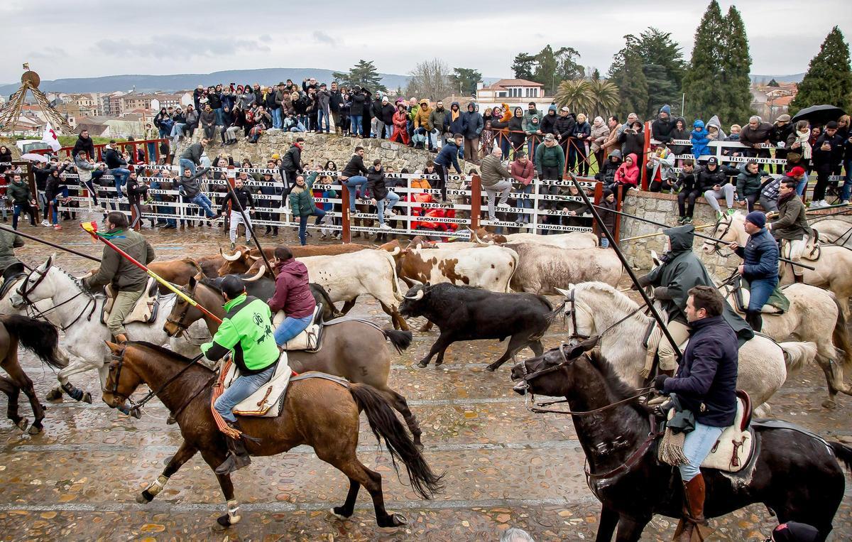 Carnaval del Toro en Ciudad Rodrigo (Salamanca)