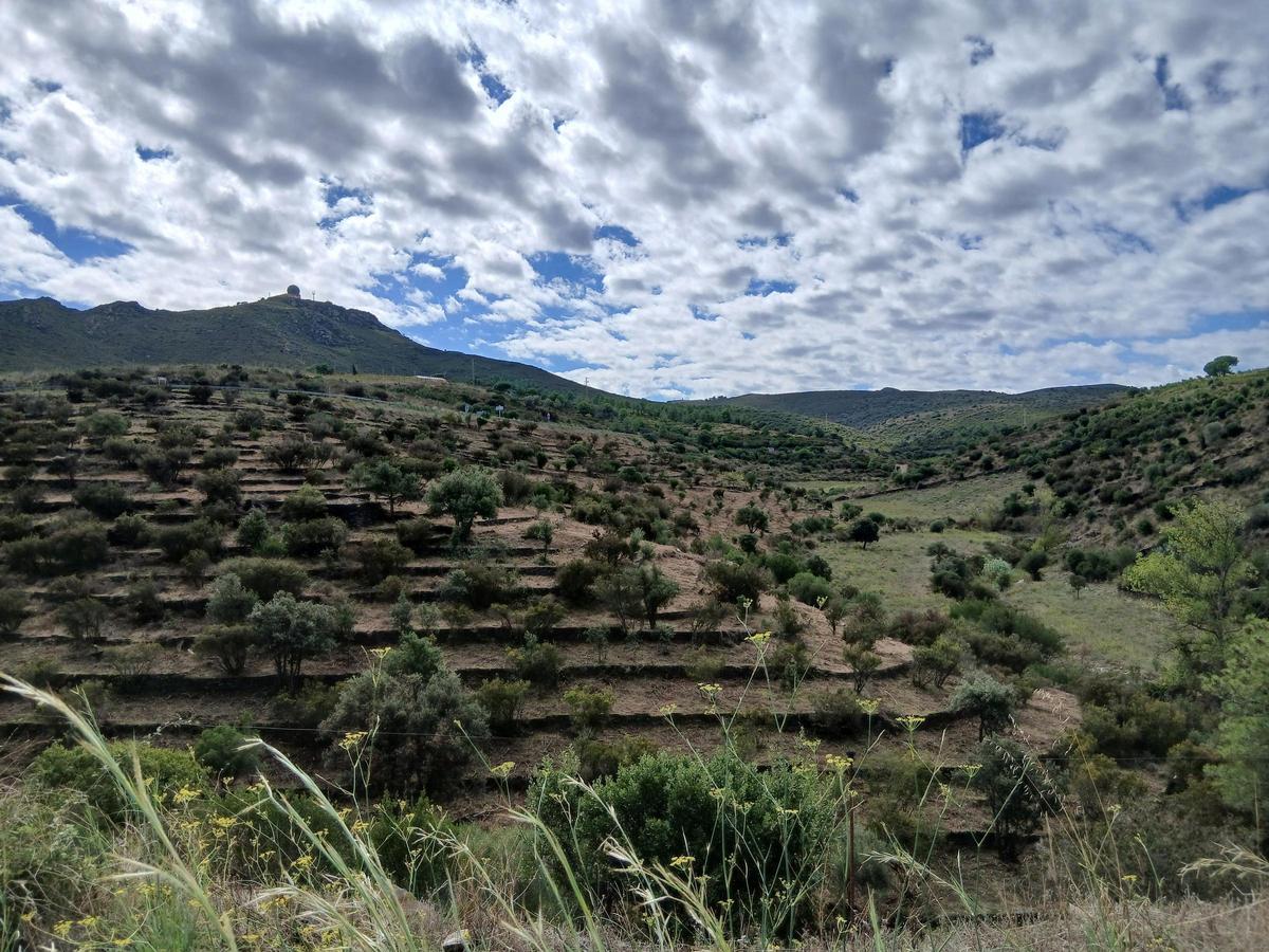 La zona on s'han portat a terme treballs contra incendis, al cap de Creus.