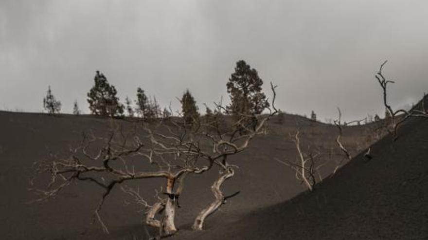 El paisaje que nos queda