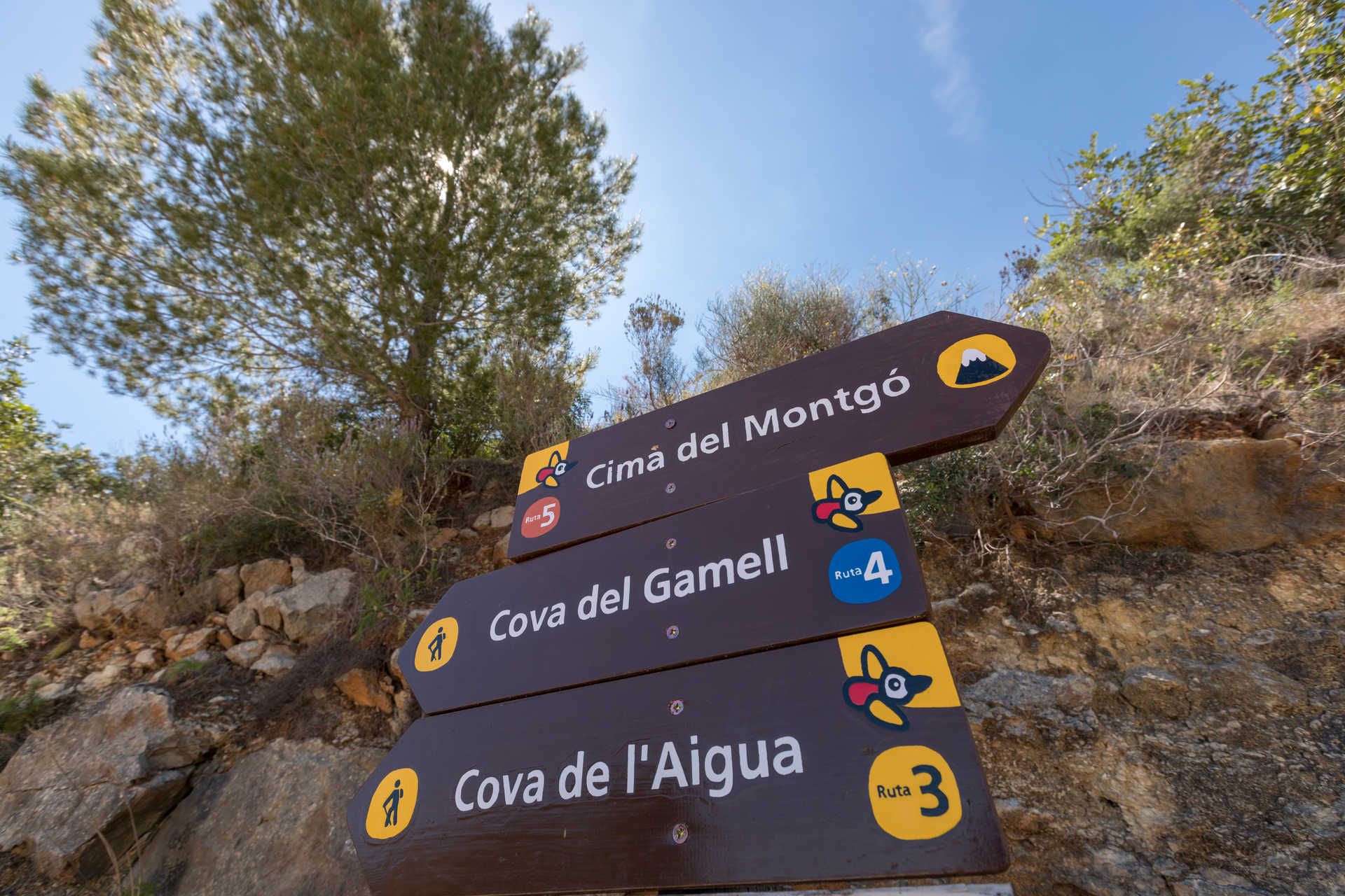 Parque natural del Prat de Cabanes-Torreblanca