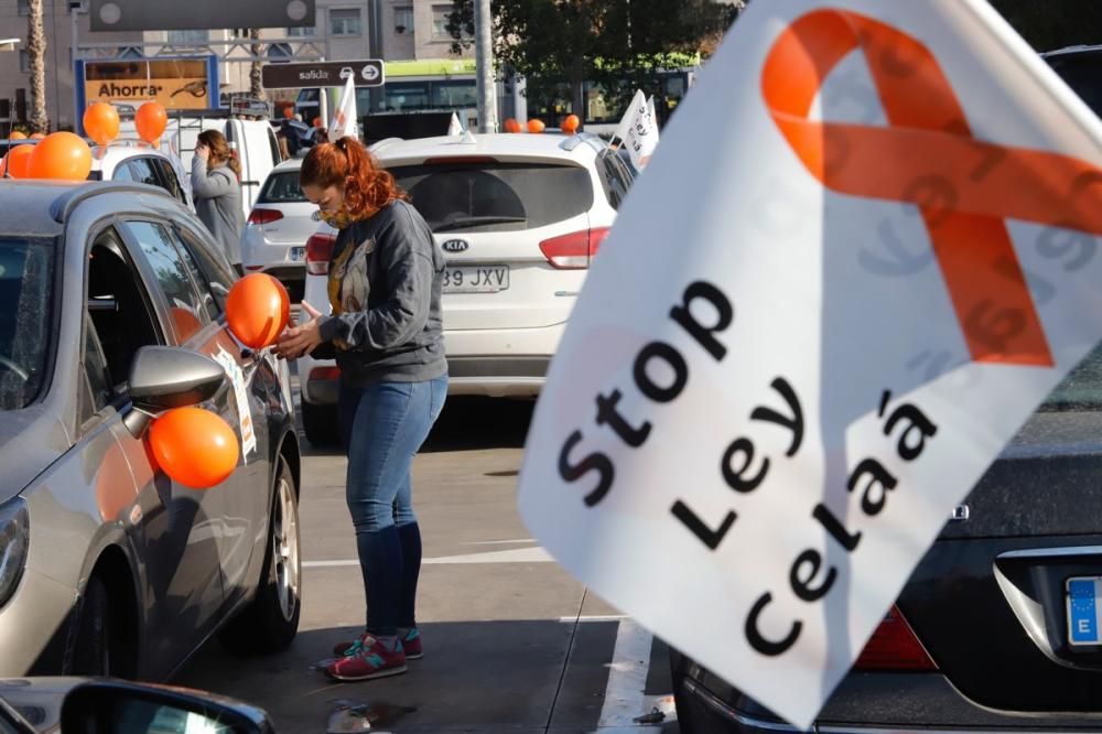 El centro de Murcia vuelve a llenarse de vehículos para protestar contra la Ley Celaá