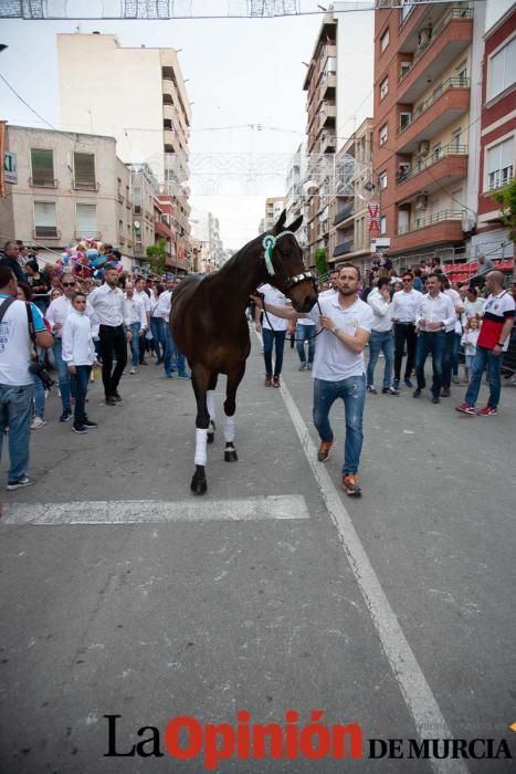 Caballos del Vino: Concurso morfológico (salida Pl