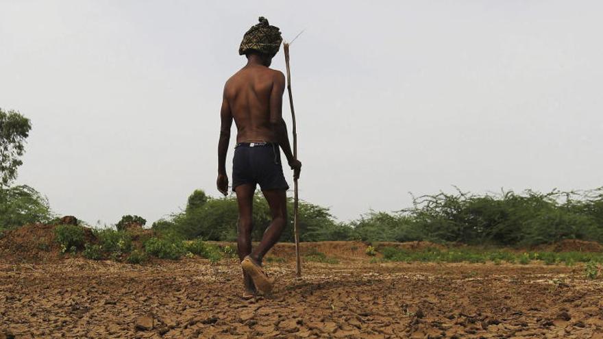 Un granjero pasea en su tierra seca, durante una ola de calor en la localidad de Gauribidanur.