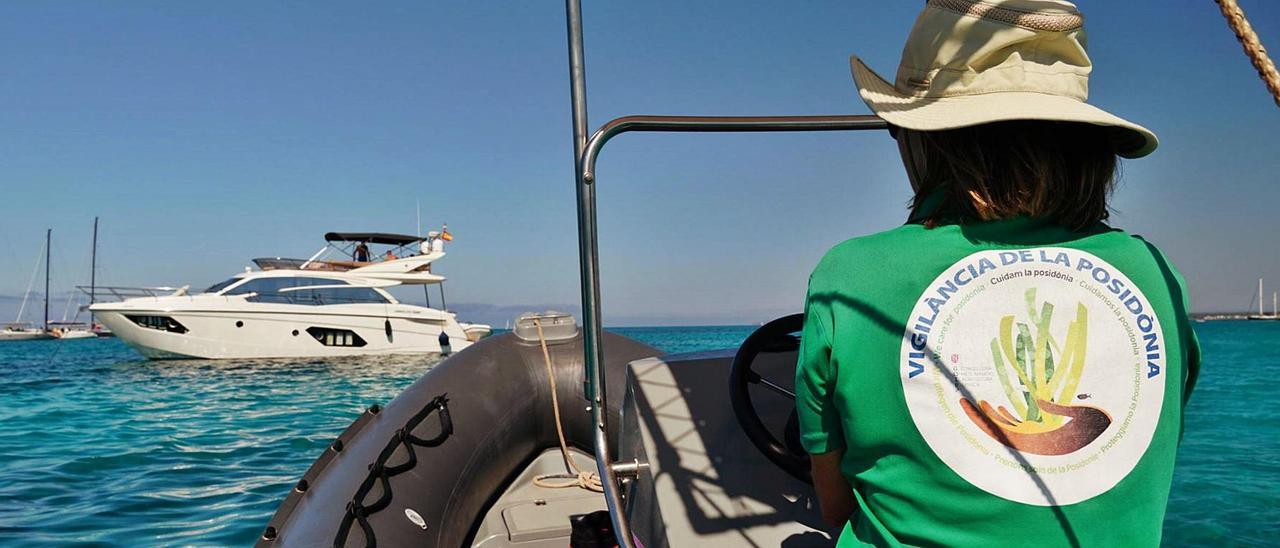 Una trabajadora del servicio de vigilancia de la posidonia, durante su recorrido diario para el control de embarcaciones.