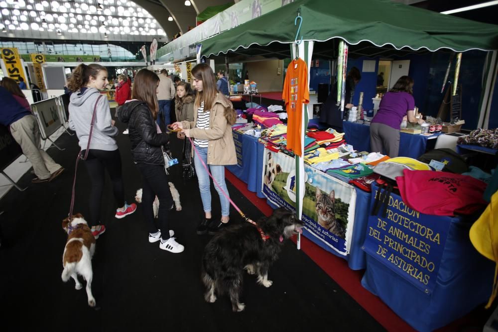 Actividad en Principets.