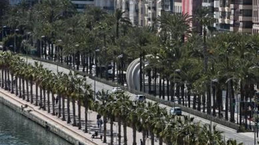 Perspectiva de la avenida Conde de Vallellano, cuyo tráfico se quiere desviar, y la Explanada.