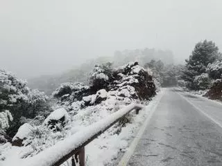 Vuelve la nieve a la Serra de Tramuntana
