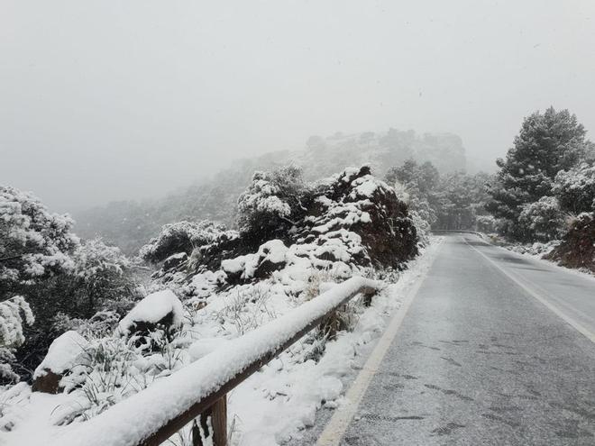 FOTOS | Nieve en Mallorca, las imágenes de los lectores