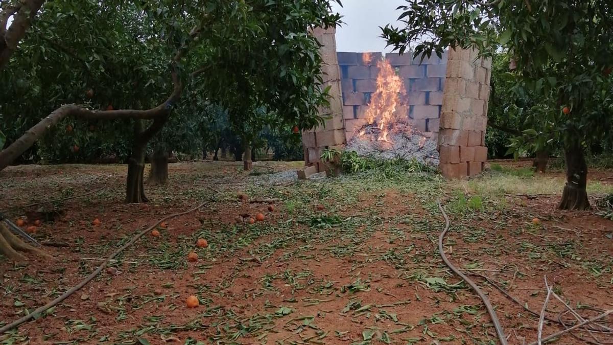 Imagen de archivo de un quemador agrícola en llamas durante una quema de poda.