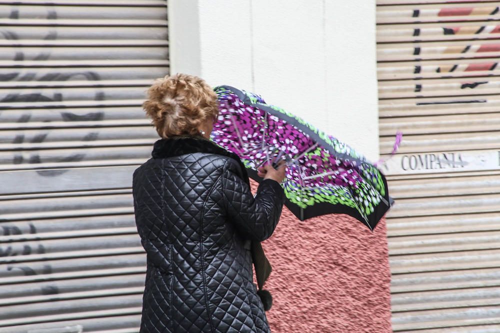 Las fuertes rachas de viento han provocado la caída de cascotes, árboles y toldos en la Vega Baja y la intervención de la Policía Local y Bomberos en Torrevieja y Orihuela