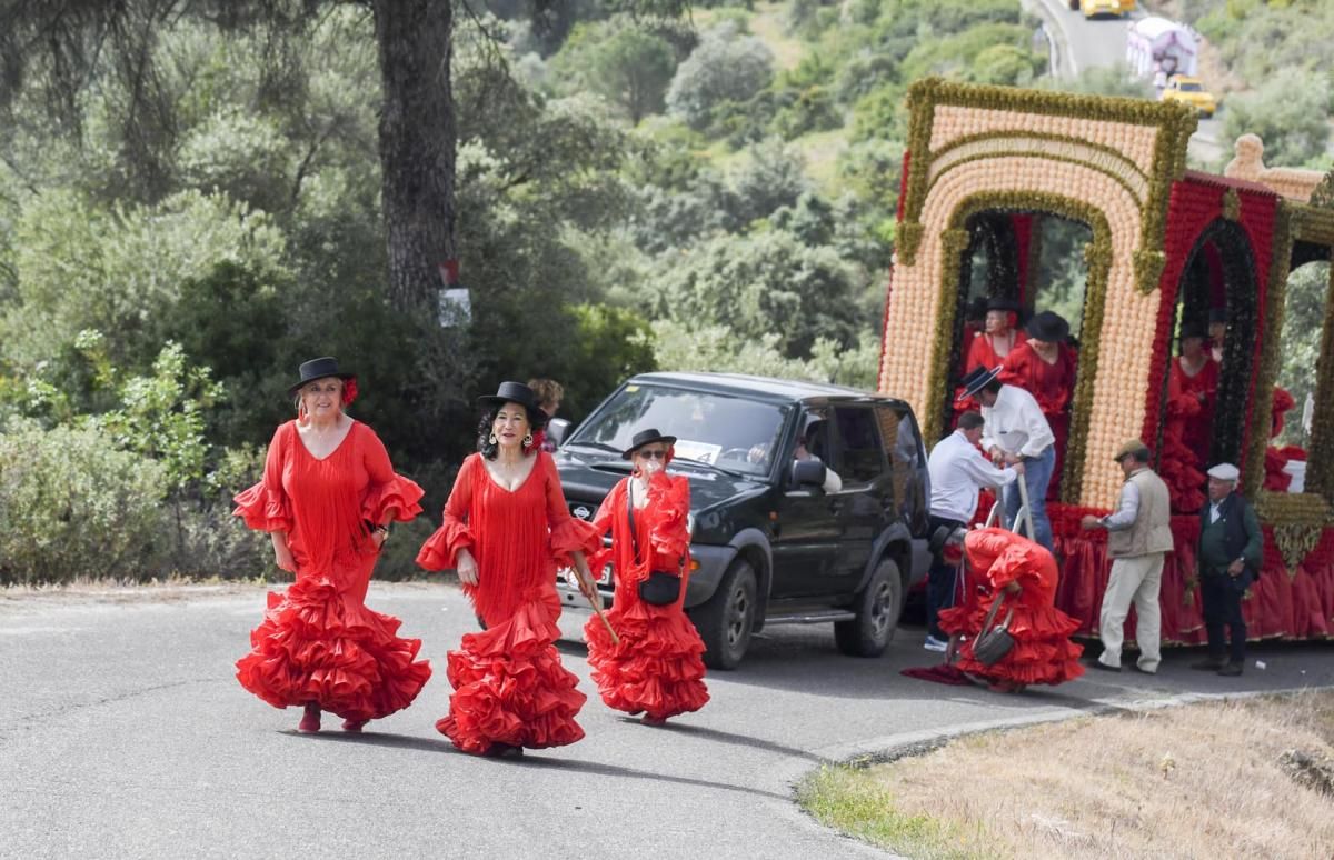 Fotogalería / Romería de Santo Domingo