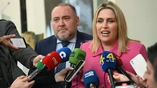 La Diputación critica en Cevisama la "indiferencia absoluta" del Gobierno con las ayudas al azulejo de Castellón: "Solo ha llegado una limosna"
