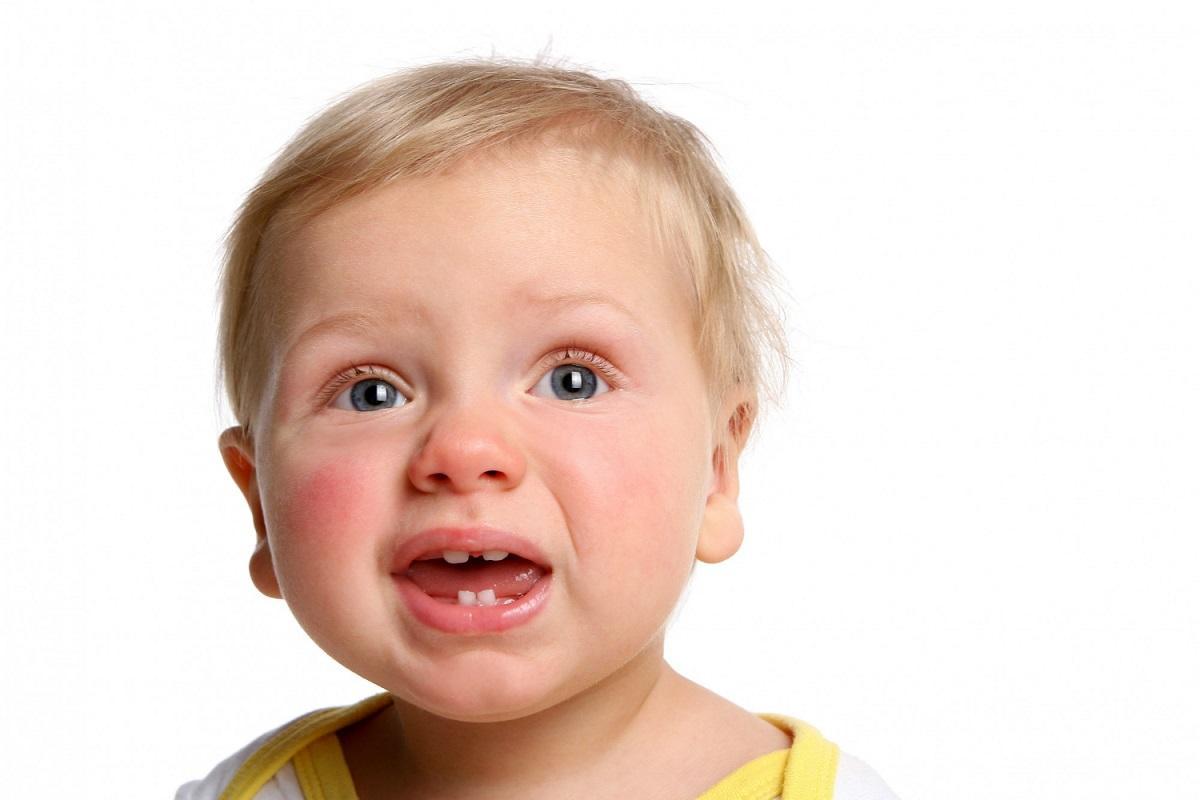 Los primeros dientes suelen aparecer entre los 6 y 12 meses de edad