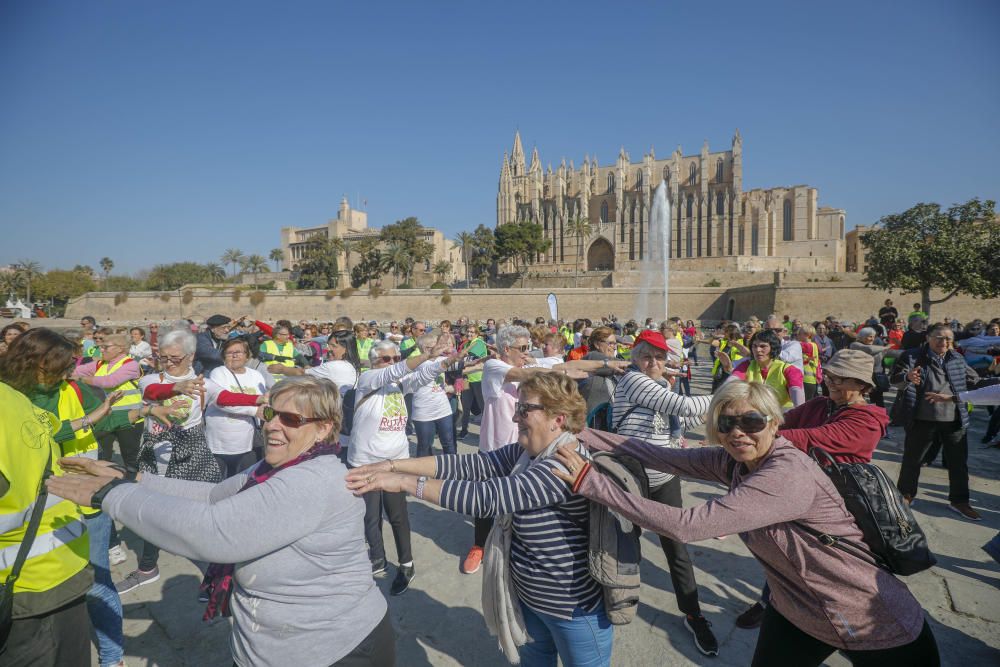 Dia de les Illes Balears