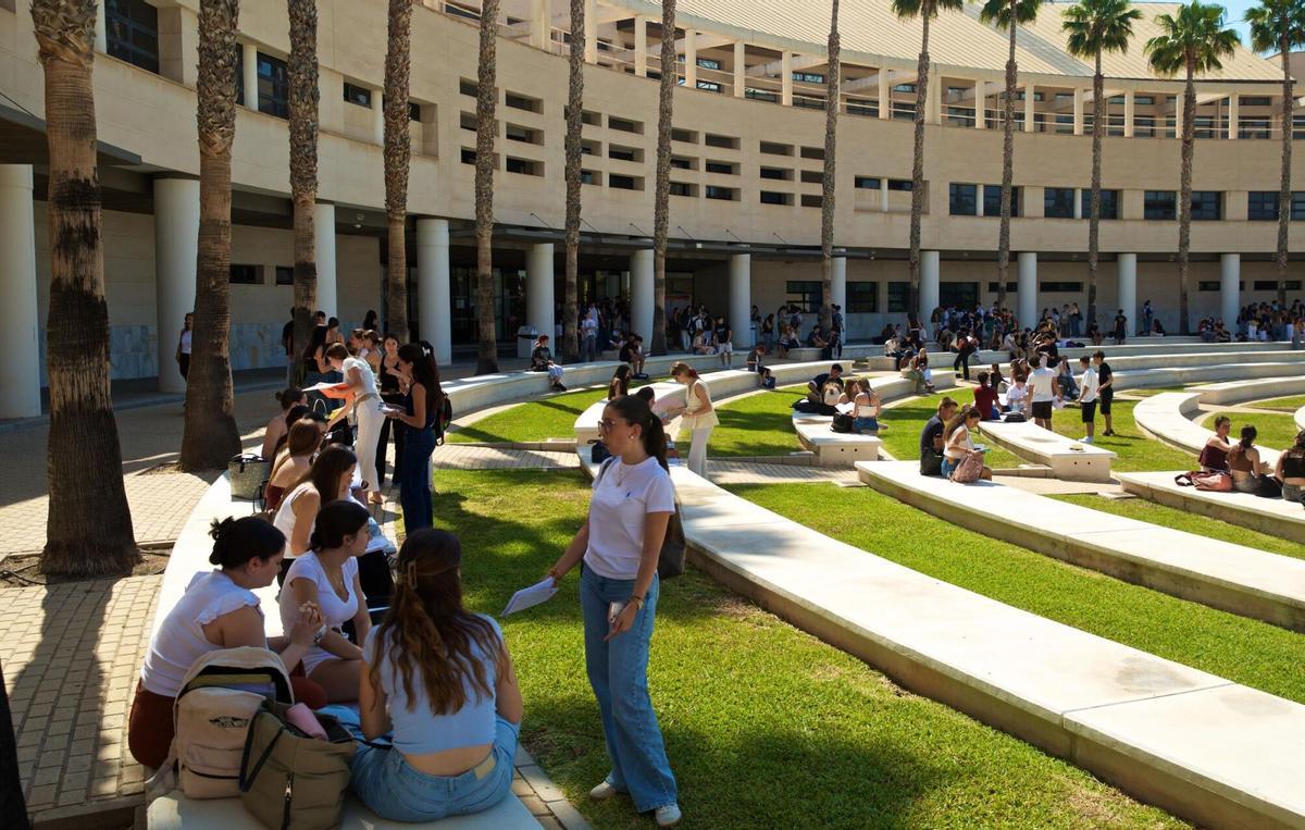 Grupos de alumnos en los exteriores de la Universidad de Alicante.PAU 2026