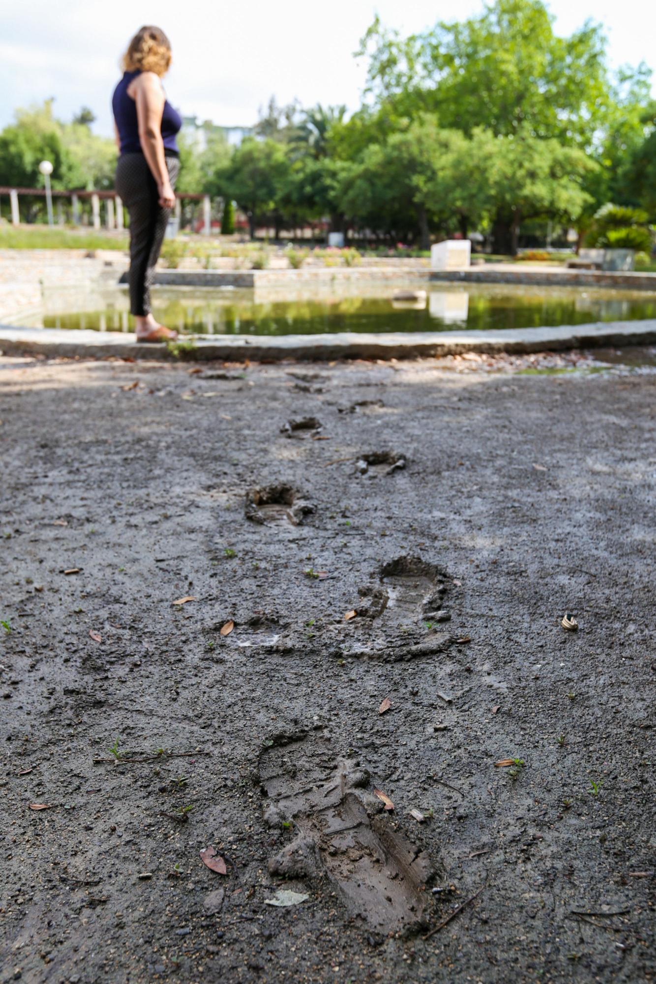 El declive del Parque Lo Morant